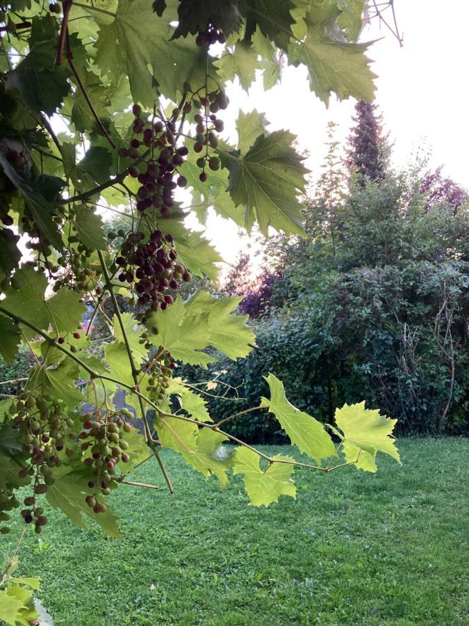 Fewo Alkapa Hilzingen Zewnętrze zdjęcie